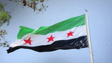 Suriye hükümeti ve SDG anlaşmasına uluslararası destek