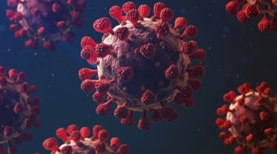 Dünya Sağlık Örgütü listesinde: Nipah virüsüne karşı aşı yok