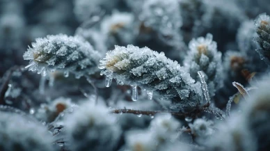 Türkiye'yi soğuk hava dalgası vuruyor: Don ve kar alarmı
