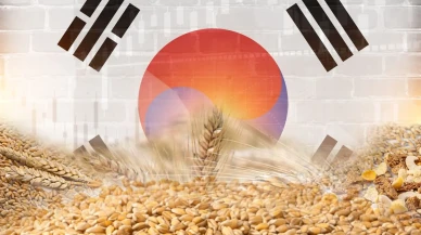 Güney Kore'nin tarım ve gıda ihracatı 2025'te rekor 13,62 milyar doları aştı