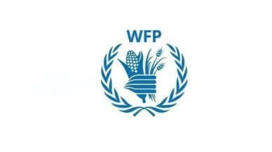 Somali'den korkutan açlık uyarısı: 4,4 milyon kişi kriz seviyesinde