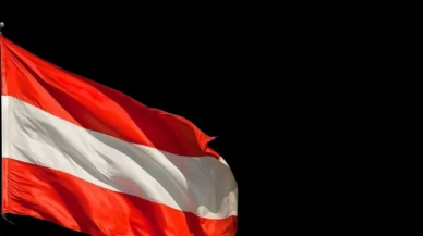 Avusturya ekonomisi toparlanıyor ama işsizlik neden yükseliyor?