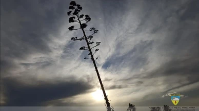 Meteoroloji'den fırtına uyarısı: Marmara, Karadeniz, Ege ve Akdeniz tehlikede