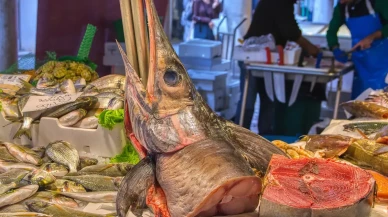 AB'de balık tüketimi ve cıva riski üzerine yeni araştırma sonuçları