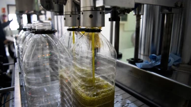 Avrupa'da zeytinyağı fiyatları 2025'te nasıl bir değişim gösterdi?