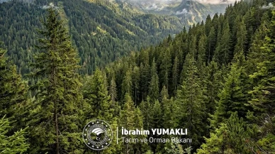 Bakan Yumaklı'dan Dünya Ormancılık Günü mesajı: "Yeşil vatanımızı korumaya kararlıyız"