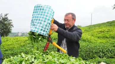 Çaykur Genel Müdürü Alim, yeni sezon ve kadro durumu hakkında önemli açıklamalarda bulundu