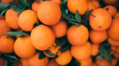 Türkiye’nin turunçgil ihracatında 698 milyon dolarlık rekor! Neler oluyor?