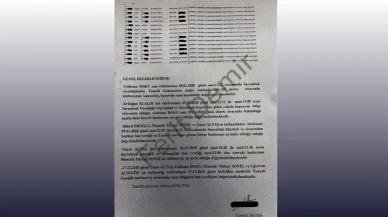 Gazeteci Ferit Demir'den Gülistan Doku davasında şok iddialar: Eski vali yalan mı söyledi?