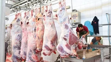 Bayramın ilk gününde acil servisler doldu taştı: 13 bin 513 acemi kasap kurban keserken yaralandı