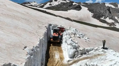 Alanya’da yaz öncesi karlama hazırlığı başladı