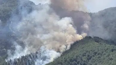 Kaş alevlerle savaşıyor: Ekiplerin zorlu coğrafyadaki mücadelesi sürüyor