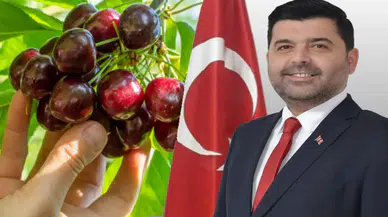 Kiraz Üreticilerine Sevindirici Müjde: Dinar'da 28 TL Alım Fiyatı!