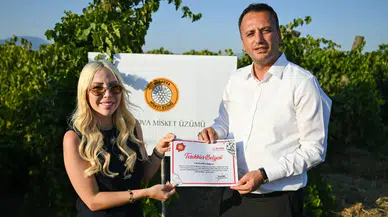 Bornova Misket Üzümü'nün Küresel Yolculuğu: Lucien Arkas Bağları'na Tescil Gururu