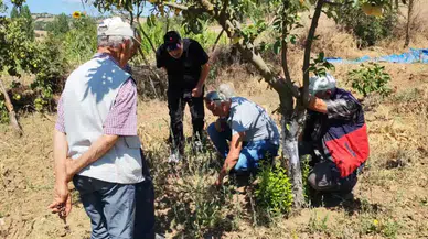 Tarla sahibi Mehmet Yetgin'den üreticilere fare uyarısı