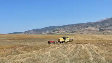 Kemerli üreticiler kuraklığa karşı aspirle umut buldu: Dekardan 120 kiloya varan verim