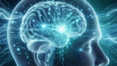 Cambridge Üniversitesi: Beyin 32 yaşında yetişkin oluyor