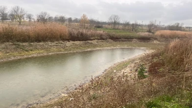 Hayrabolu Göleti kuruyor: Tarım ve doğal yaşam tehdit altında