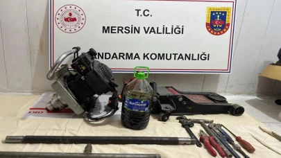 Mersin'de kaçak kazı operasyonu
