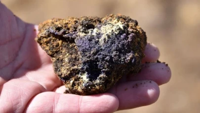 Trump'ın dili mi sürçtü? Nadir elementler için adres Kırşehir mi?