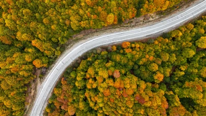 Domaniç’te yeşilden sarıya: Ormanlar sonbaharı karşıladı