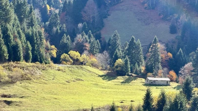 Karadeniz’in güzellikleri: Zigana Dağı’nda sonbahar renkleri