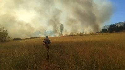 Bingöl'de çıkan orman yangını kontrol altına alındı, soğutma çalışmaları sürüyor