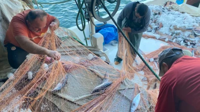 Sinop’ta palamut bereketi: Balıkçı 3 bin palamutla limana döndü