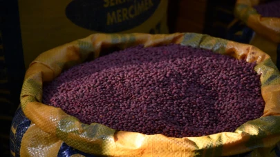 Batman’da 210 çiftçiye 152 ton hibeli mercimek tohumu dağıtıldı