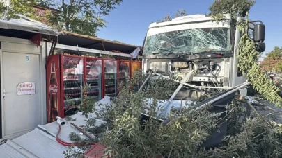 Malatya'da freni arızalanan kamyon konteyner iş yerlerine çarptı: 1 yaralı