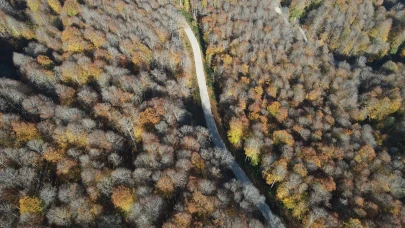 Nebiyan Dağı'nda sonbahar: Doğaseverler için renk cümbüşü