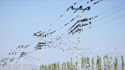 Günlük elektrik verileri açıklandı: Üretim tüketimi aştı