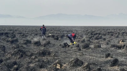 Nehil sazlığı yangını kontrol altında: 200 kuş türü etkilendi