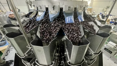 Marmarabirlik’ten zeytinyağı hamlesi: Promosyonla tüketim artacak