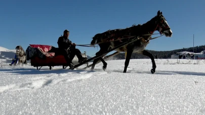 Sarıkamış Kayak Merkezi'nde kış sezonu: Atlı kızakçılar iş başında