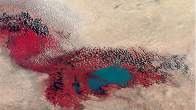 Çad Gölü Havzası’ndaki saldırılarda en az 2 bin kişi hayatını kaybetti
