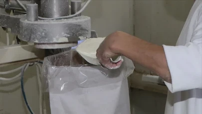 Cezayir ve Katar 3,5 milyar dolarlık dev süt tozu projesi için anlaştı