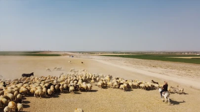 Sivas’ta kaybolan çoban, ahırda ölü bulundu
