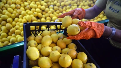 Gıda arz güvenliği için limon ihracatına geçici kısıtlama