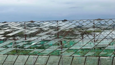 Antalya'da sağanak ve dolu seraları vurdu, ürünler zarar gördü