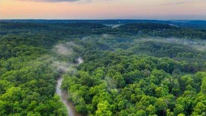 Amazon Yağmur Ormanları Krizde: Bilim İnsanları Gelecek Projeksiyonlarını İnceliyor!