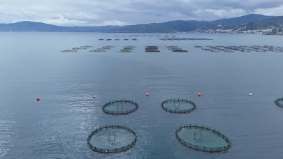 Ordu'da Türk Somonu ile ekonomiye 1 milyar lira katkı bekleniyor