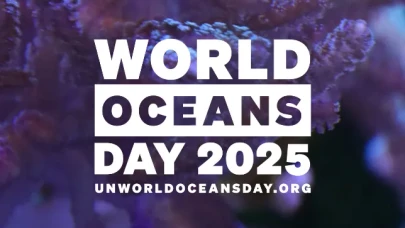 Deniz buzlarının erimesi okyanus rkosistemlerini nasıl tehdit ediyor?