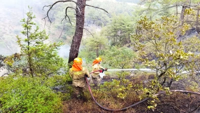 Sakarya'daki orman yangını kontrol altına alındı söndürme çalışmaları devam ediyor