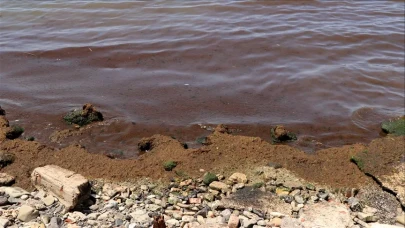 Tekirdağ'da poyrazın etkisiyle sahil kırmızı yosunla kaplandı