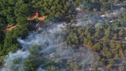 Edirne'deki orman yangını kontrol altına alındı: Ekipler seferber oldu!