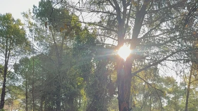 Antalya'da yangınlar kontrol altına alındı