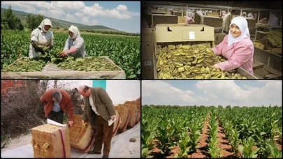 Türkiye’nin tütün ihracatı, 1 milyar 4 milyon dolara ulaştı