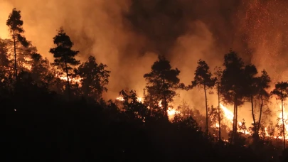 Suriye'deki orman yangını Türkiye sınırına yaklaşıyor