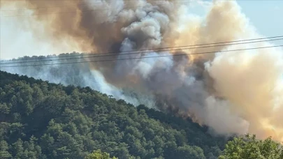 Bolu Göynük'te orman yangını devam ediyor